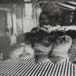 'Woolsacks' by Angus Laing