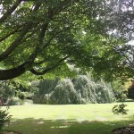 The Gardens