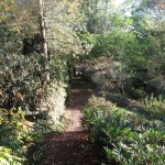 The Gardens