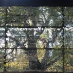Kendrew Quad